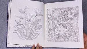 Luna Coloring Book Fast Flip Through | Maria Trolle (English Edition)