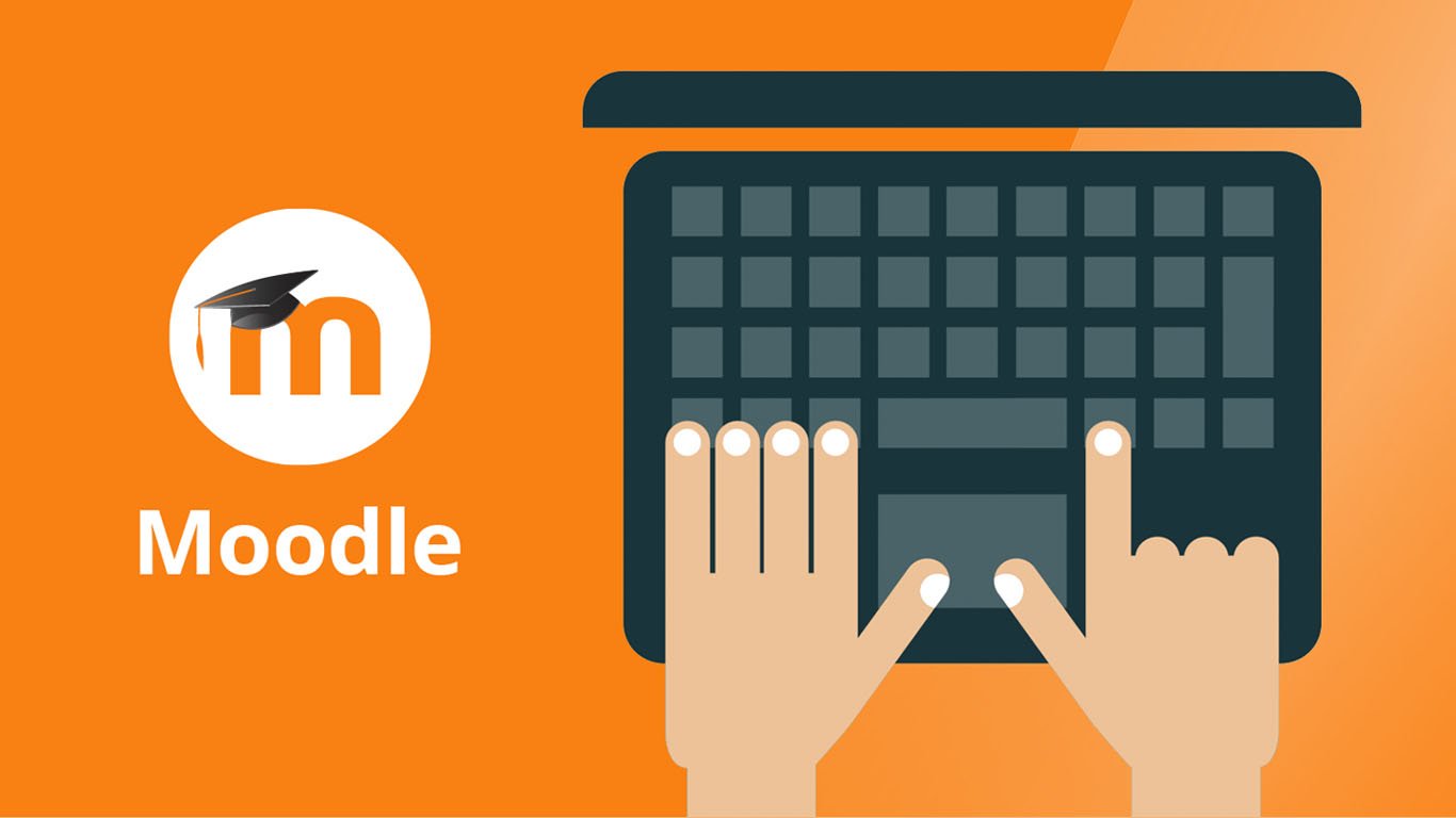 дот платформа moodle фото 6