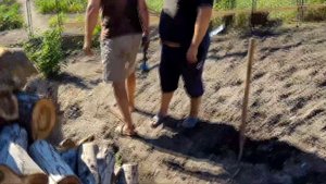 Теплица 6м*28м. Двери, окна для проветривания, подготовка земли перед культивацией.