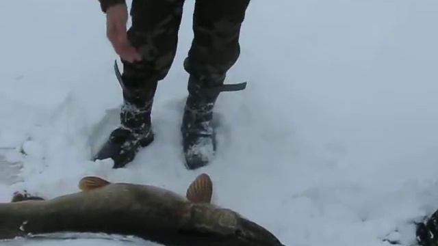 Щука оз. Палик смотреть онлайн