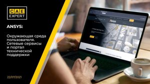 ANSYS: Сетевые сервисы и порталы технической поддержки. Окружающая среда пользователя