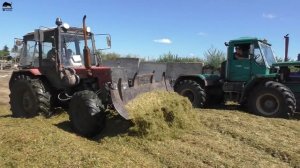 Заготовка силоса на зиму