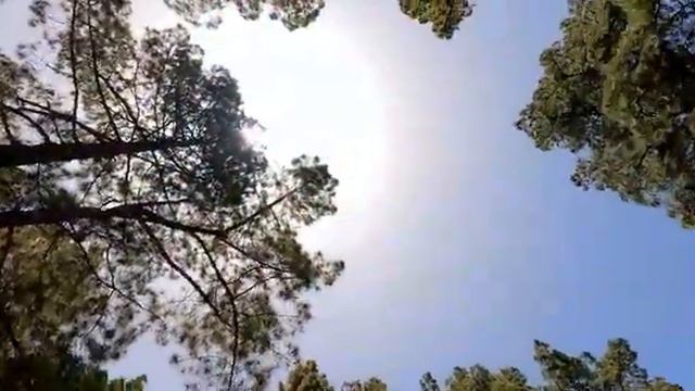 Kanarische Inseln La Palma Teneriffa смотреть онлайн