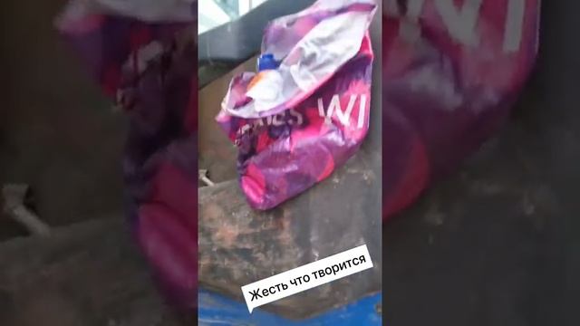 videos_videos__Беспорядок в салоне. #дальнобойщики #салон #кабина #дальнобой #водитель #работа .mp4
