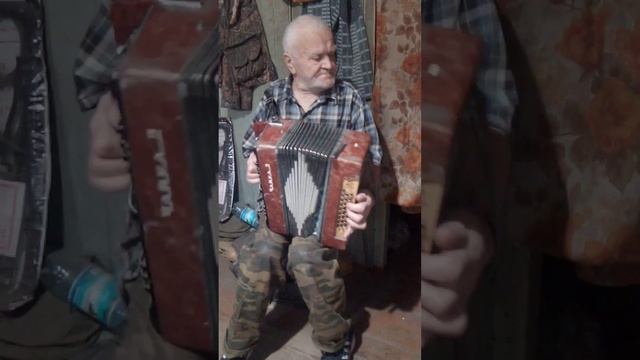 Дедушка играет на гармошке смотреть онлайн