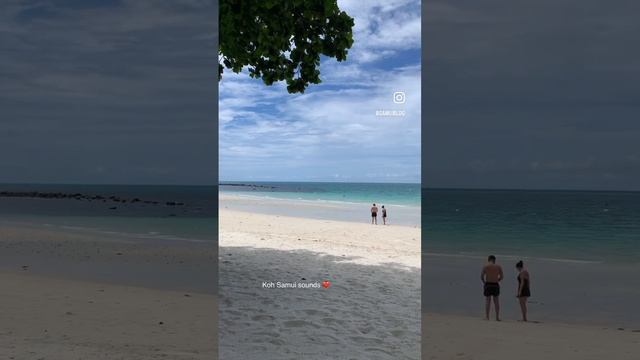 Звуки тропического острова Самуи, по которым так скучают туристы ??? смотреть онлайн