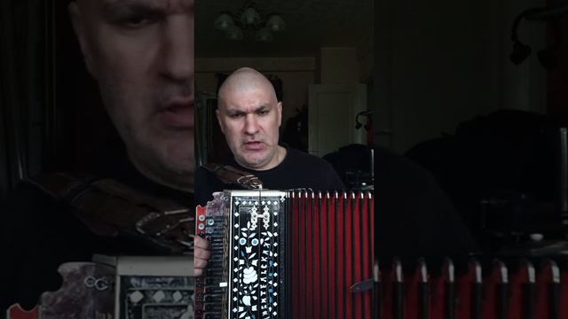 Ленинградские мальчишки. Песня под гармонь.