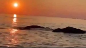 Лирические песни востока!