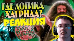 10 Нелогичных Поступков Хагрида в Гарри Поттере ( Борода Дамблдора ) | Реакция