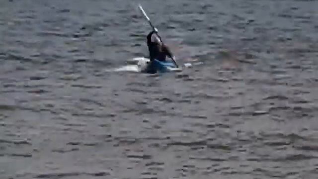 Vector 124 In Water testing смотреть онлайн