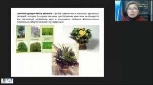 Современные технологии выращивания декоративно-цветочных и древесно-кустарниковых растений