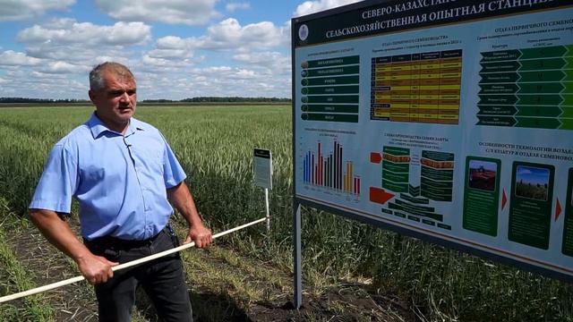 Организация первичного семеноводства
