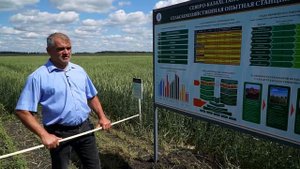 Организация первичного семеноводства