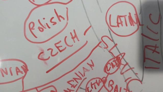 второе видео: Что такое индоевропейская языковая семья?
