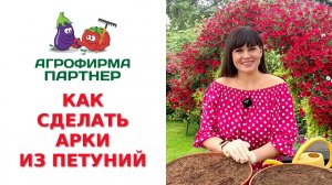 КАК СДЕЛАТЬ АРКИ ИЗ ПЕТУНИЙ
