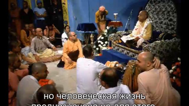 Prabhupada 0776 'Что плохого в том, что я стану собакой ' Это результат образования смотреть онлайн