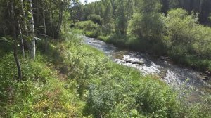 Летний поход по реке Суенга