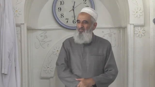 Вяз имама Костека Мухаммад хаджи в Ахтынской Джума мечети