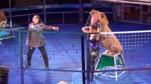 Аттракцион _В Созвездии Льва_ Ольга Борисова и Алексей Макаренко Курск.