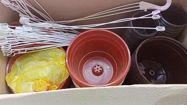 05.01.24 Распаковка🎁Товары для рассады😊 смотреть онлайн