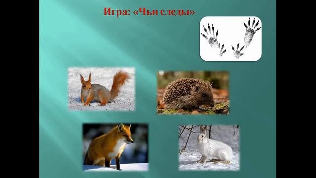 Презентация 