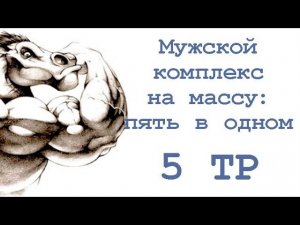 Мужской комплекс на массу «пять в одном» (5 тр)