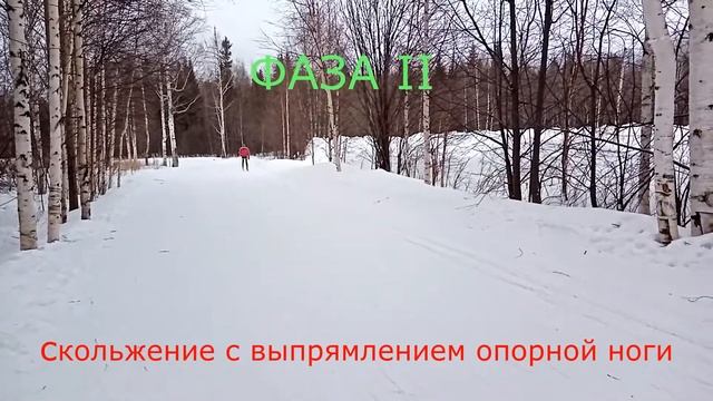 Попеременно двухшажный классический ход смотреть онлайн
