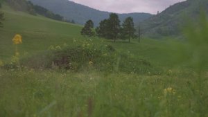 Царский курган