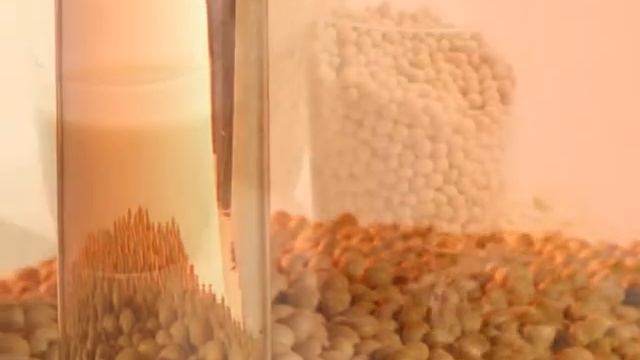 СОЯ. Полезные свойства СОИ. Вред СОИ.