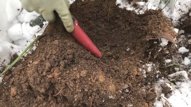 КАПСУЛА ВРЕМЕНИ НАШЛИ ТАЙНИК С ПИСЬМОМ И ОГРОМНЫЙ КРЕСТ ЭНКОЛПИОН! Ему 700 ЛЕТ!