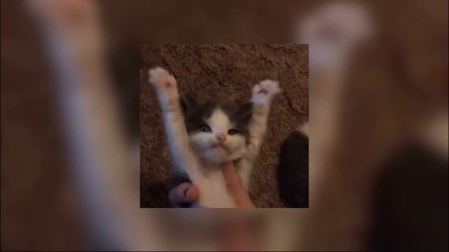 дора - втюрилась 1 час смотреть онлайн