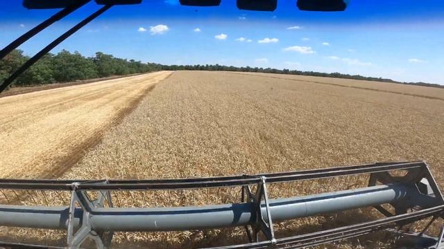 Уборка 2023! КАК И СКОЛЬКО мы вносили УДОБРЕНИЙ и ХИМИКАТОВ для такого урожая ?! смотреть онлайн