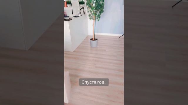 ДО/ПОСЛЕ/ АДСКАЯ СТРИЖКА ФИКУСА, что случилось с фикусом спустя год? смотреть онлайн