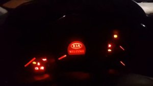 Проблема с запуском двигателя на киа рио 3