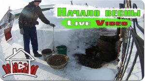 Начало весны, всего понемногу.  /  Live Video