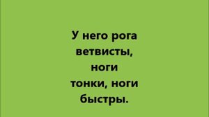 Дикие Животные Сибири