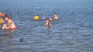 Камень-на-Оби.23.06.17. Река- "Суева",купание детей.