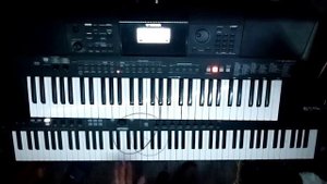 Rammstein - Der Meister Keyboard Cover