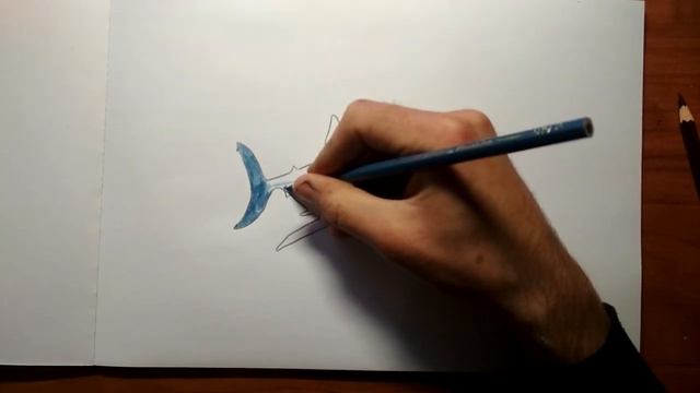Как нарисовать акулу смотреть онлайн