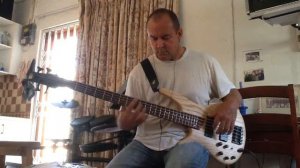 Ian Hinrichsen Ibanez SR605 Madilyn Bailey -  Chandelier bass cover