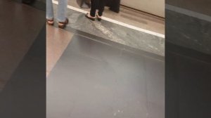 Путь до станции Железнодорожный, город Балашиха #2