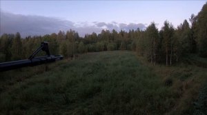 Охота на медведя на овсах