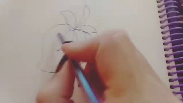 Клубнику рисуем карандашом поэтапно просто и быстро