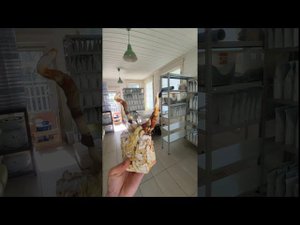 Ежевик Гребенчатый. Сушка, измельчение, просеивание, фасовка.