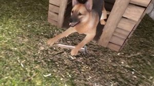 Schoolboy runaway на практике.