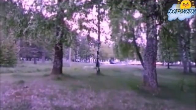 Песня про Русского, Украинца и Белоруса... Слушать , пробирает до слёз...(Добролюбов Павел)