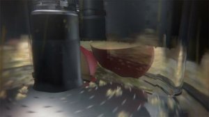 Novis Vita Juicer Product Specification Video