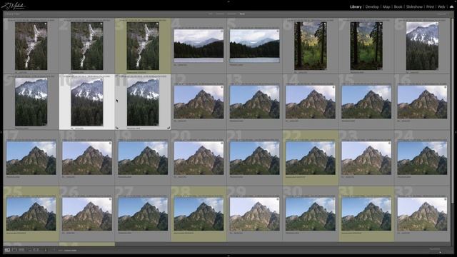 Canon R5 vs Sony A7RV - Image Quality Review смотреть онлайн