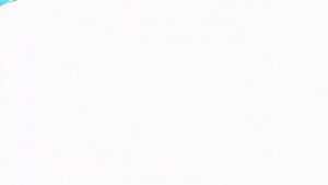 Какую отчётность сдает ООО на УСН