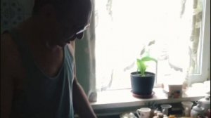 Маринованная рыба, по старинному казачьему рецепту.